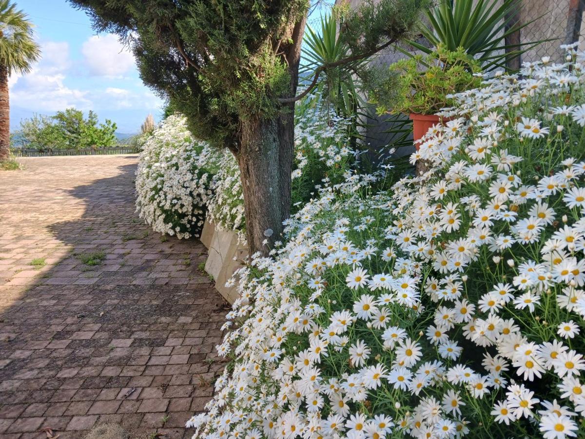 Agriturismo Vemi Villa Santa Sofia d'Epiro Exterior foto